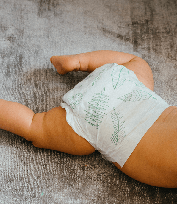 Ecological Nappies Subscription Size 2