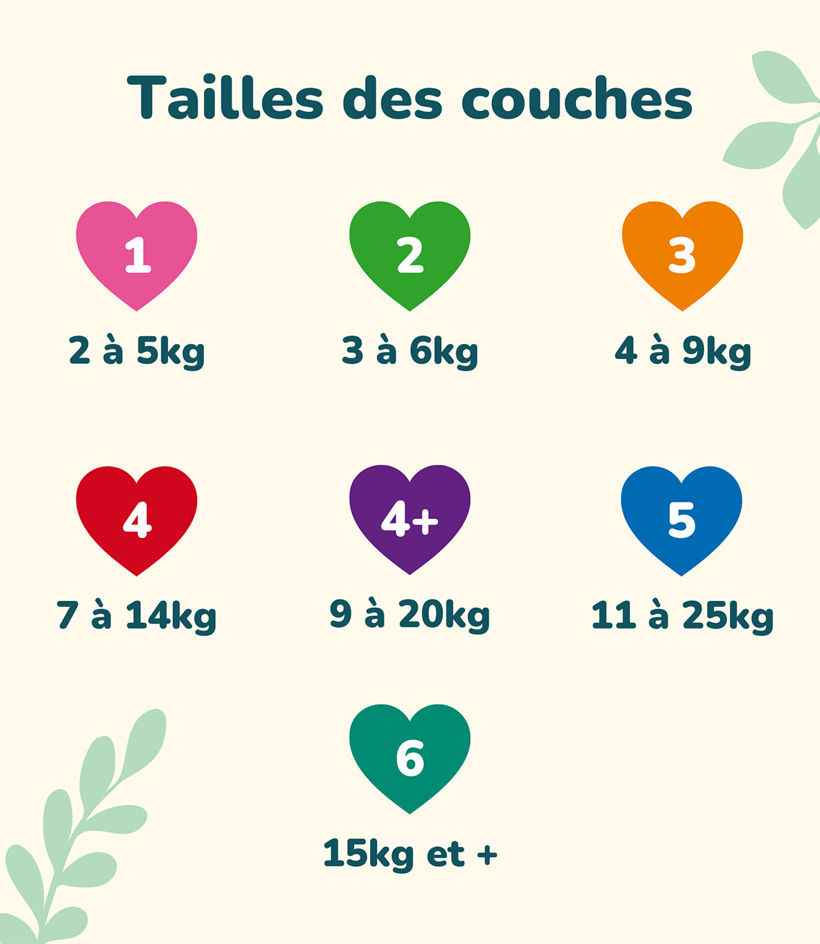 Couches Écologiques - T1 à T6