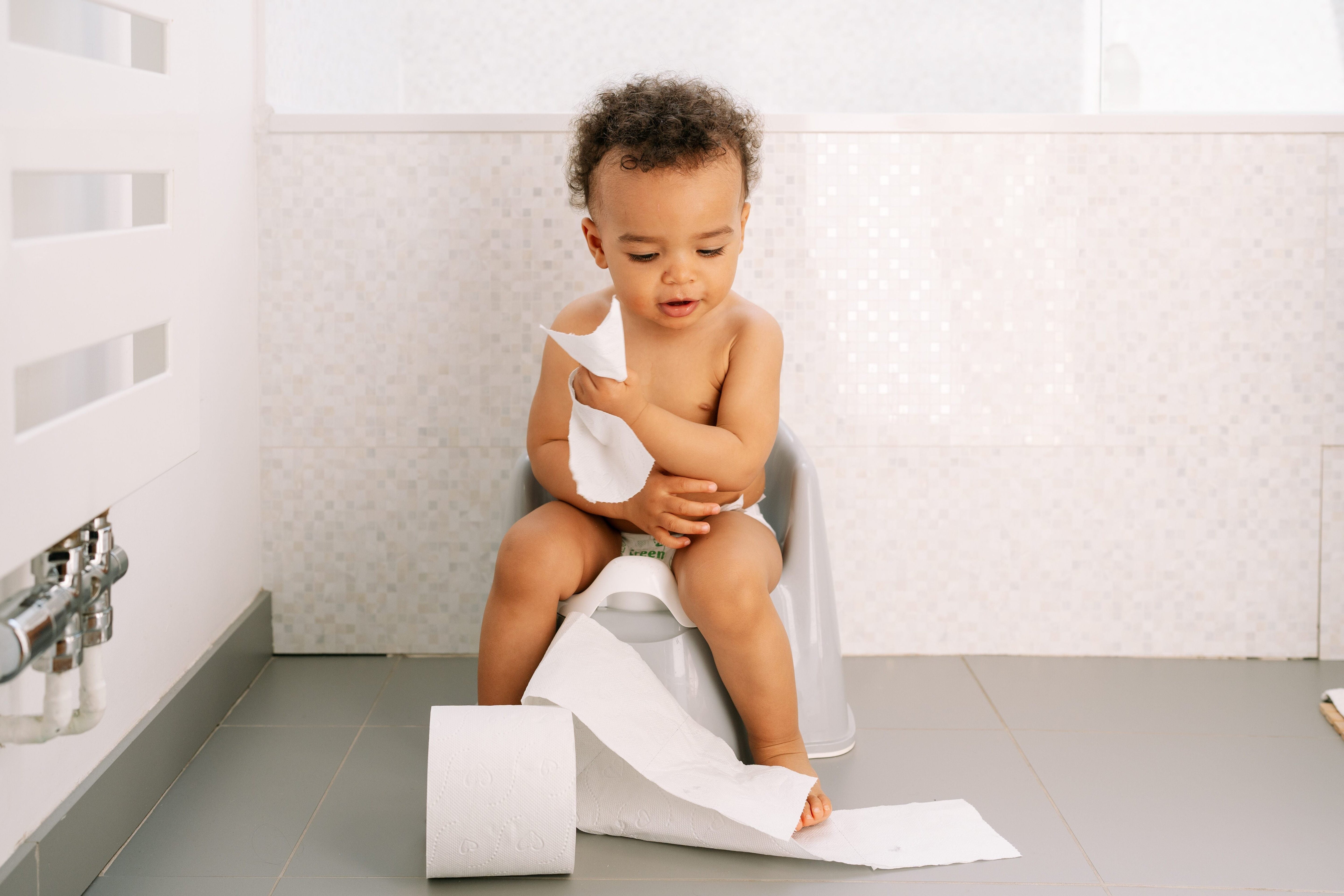 Le papier toilette : un geste quotidien à l’impact environnemental insoupçonné