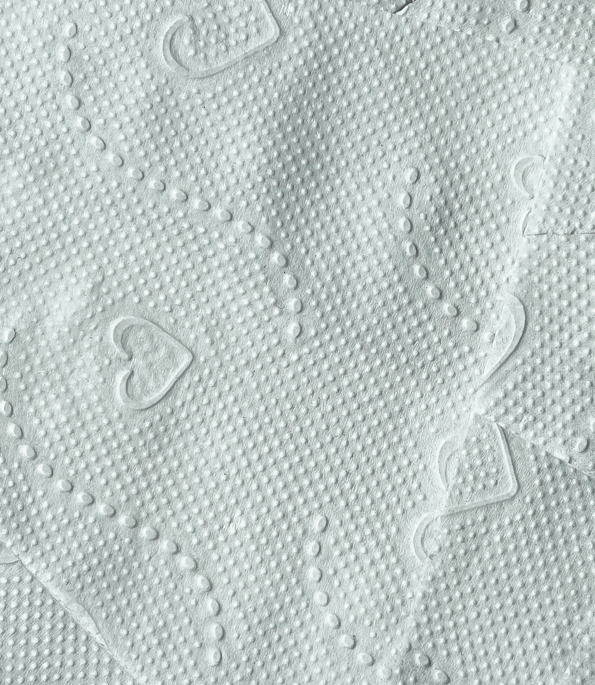 Hypoallergeen en ecologisch gerecycled toiletpapier – drievoudige dikte